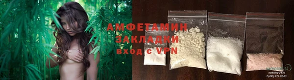 шишки Медвежьегорск