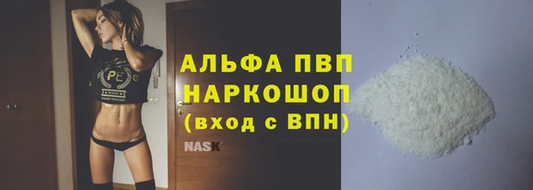 шишки Медвежьегорск