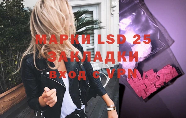 шишки Медвежьегорск