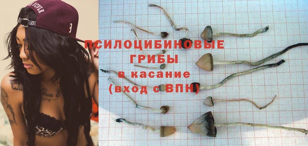 не бодяженный Медногорск