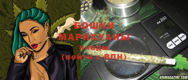 шишки Медвежьегорск