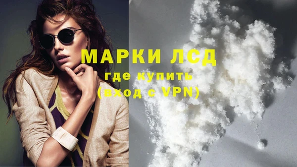 шишки Медвежьегорск