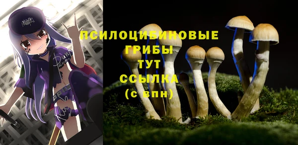 не бодяженный Медногорск