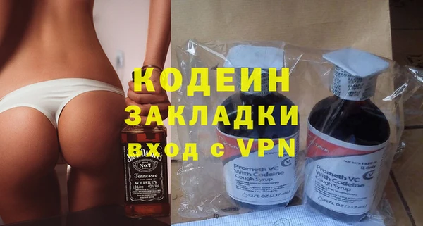 шишки Медвежьегорск