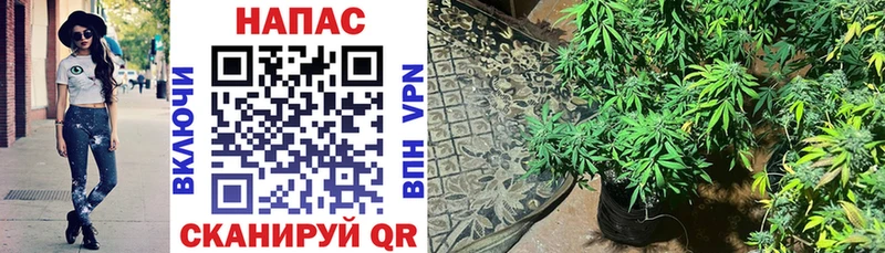 МАРИХУАНА THC 21%  Горбатов 